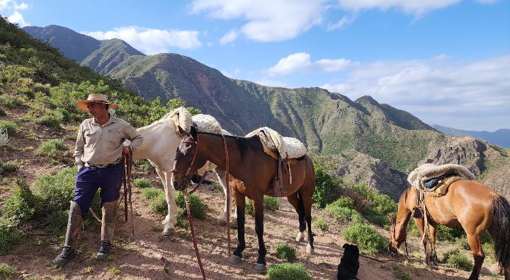 CABALGATA EN PRECODRILLERA / HORSEBACK RIDING AT THE FOOTHILLS